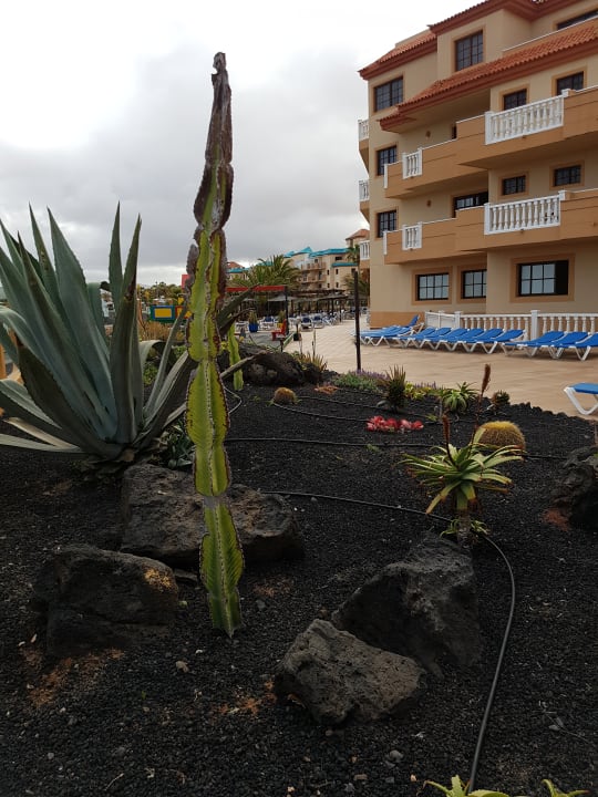 Gartenanlage Elba Castillo San Jorge & Antigua Suite Hotel