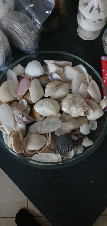 Pool Salalah Rotana Resort