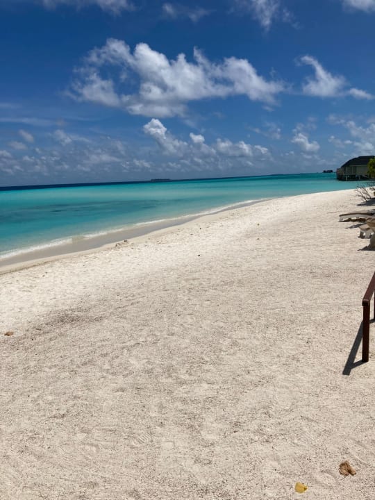 Strand Summer Island Maldives