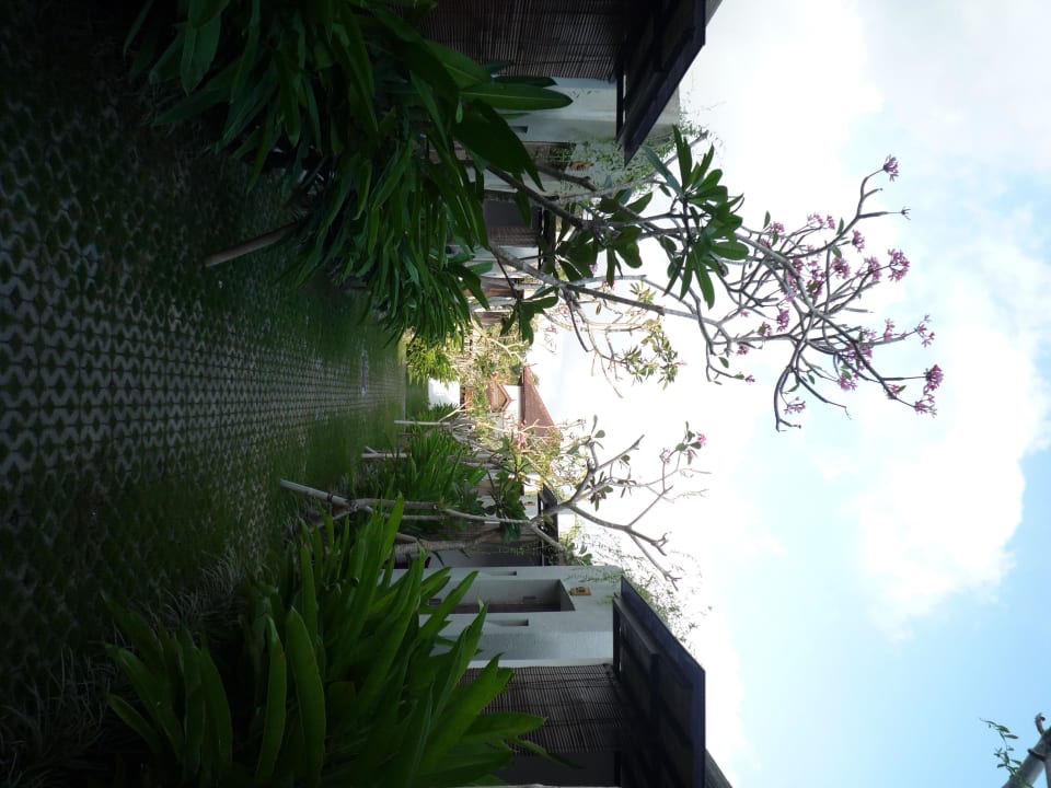 Blick auf die Bungalowreihe Lubdhaka Canggu Residence