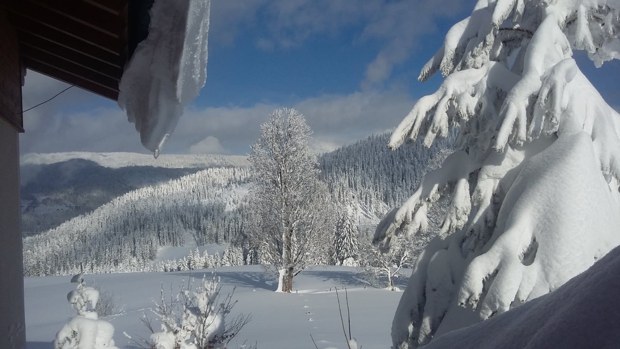 Ausblick Ferienhaus Kurzenhof
