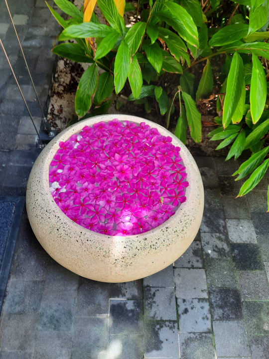 Gartenanlage Kuredhivaru Resort and Spa, Maldives