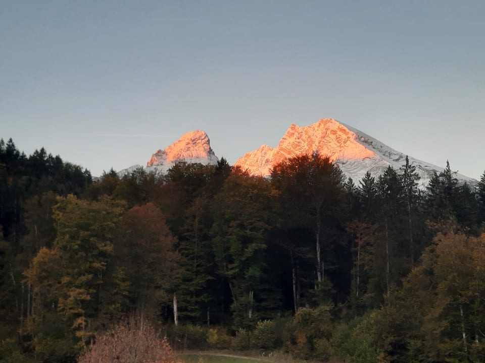 Ausblick Alm- & Wellnesshotel Alpenhof