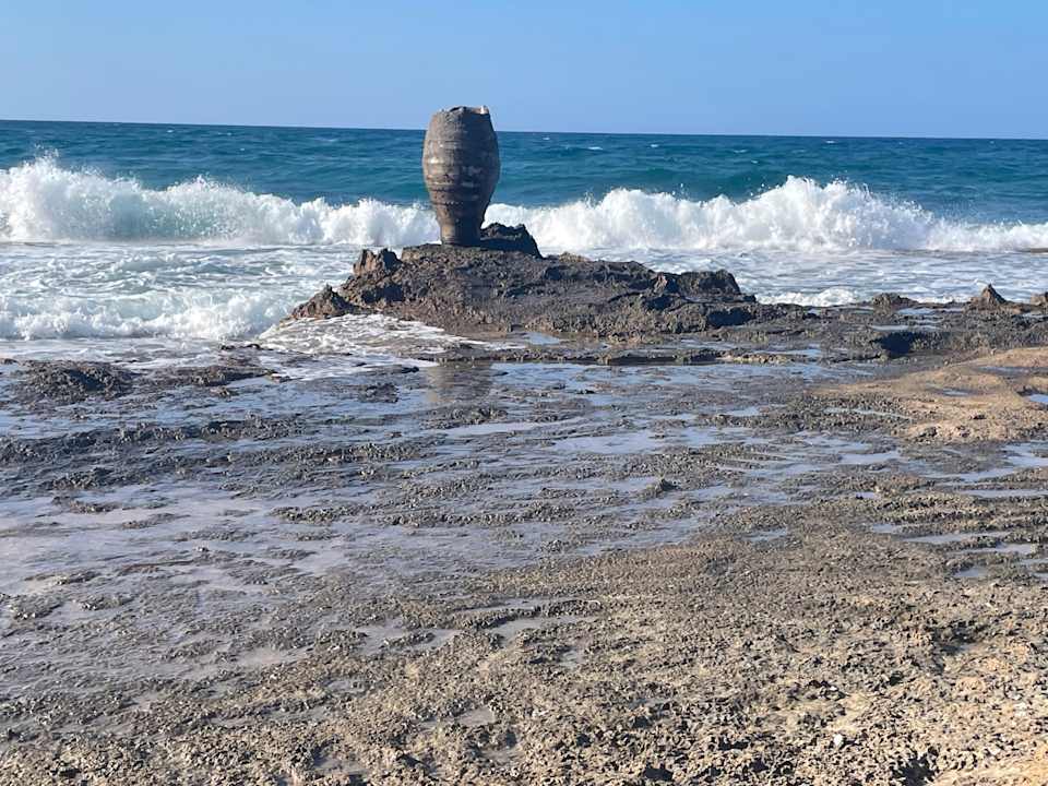 Außenansicht allsun Hotel Carolina Mare