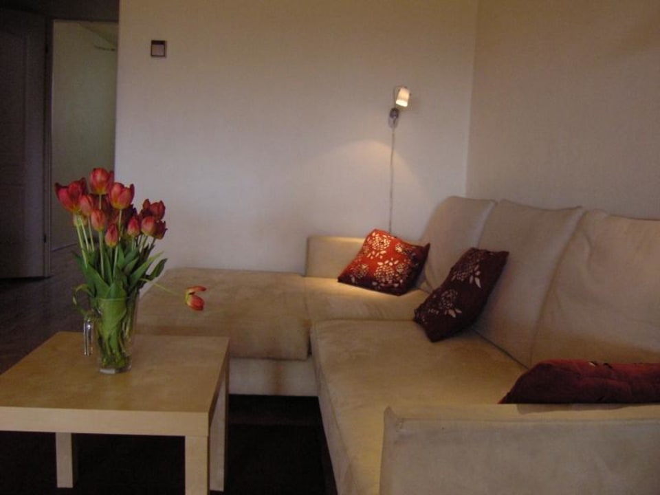 Kazimierz Apartment - Living room Krakow Apartments 4rent