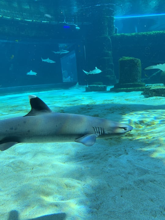 Sport & Freizeit The Land of Legends Kingdom Hotel