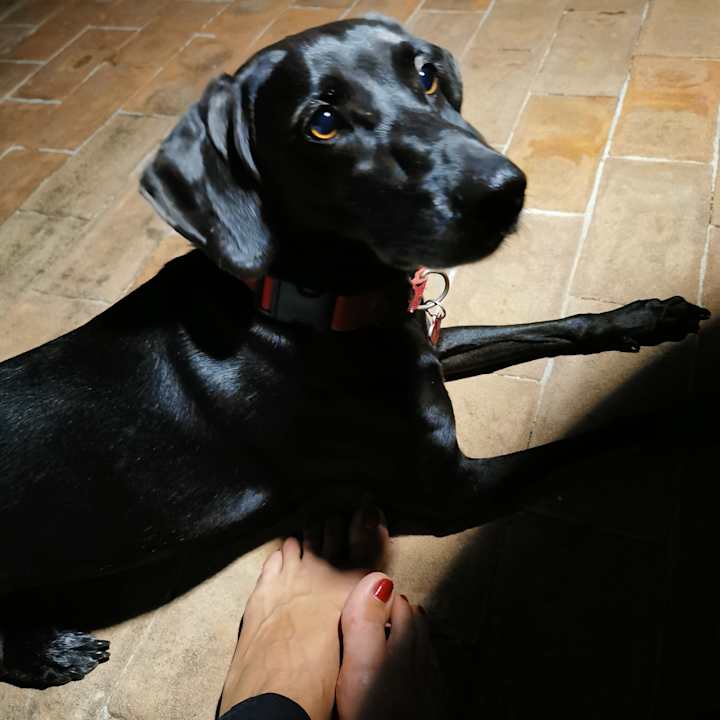 Sonstiges Podere del Monte