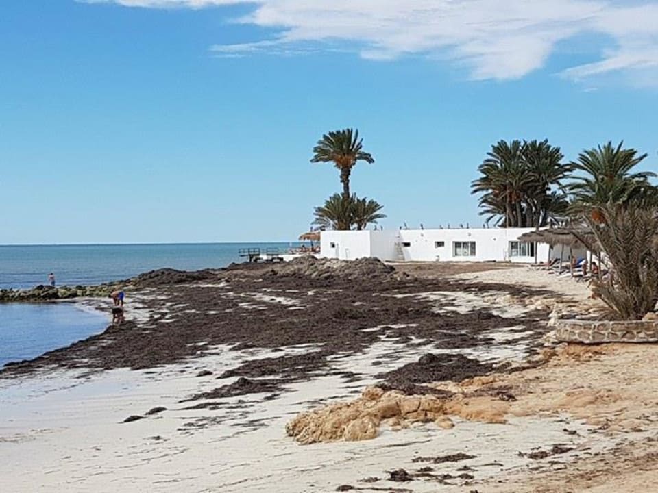 Strand Hotel El Mouradi Djerba Menzel