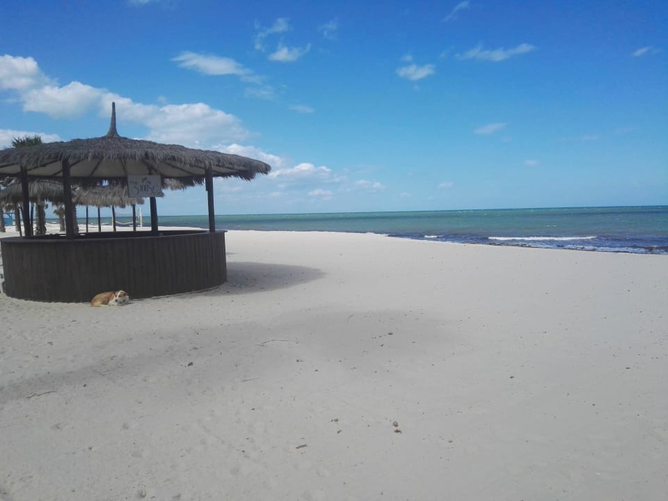 Plage avec son bar El Mouradi Club Kantaoui