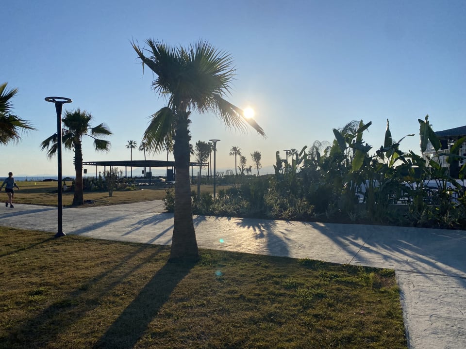 Gartenanlage Jacaranda Luxury Resort