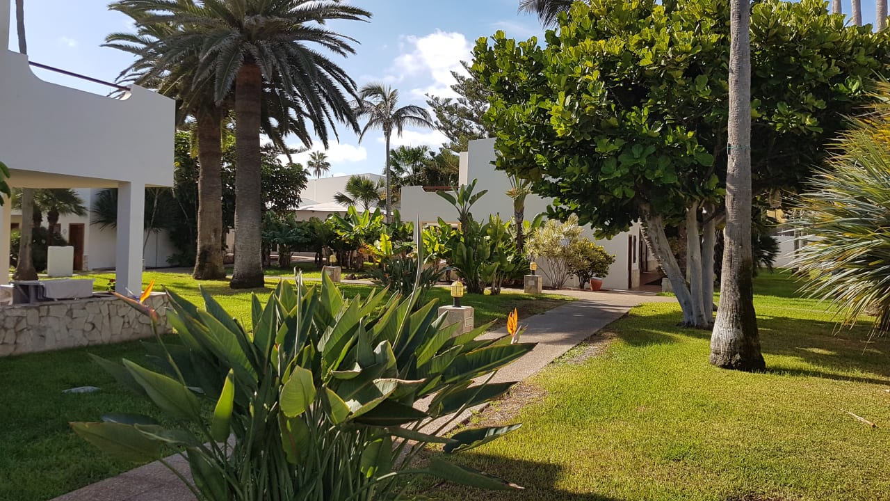 Gartenanlage Alua Suites Fuerteventura