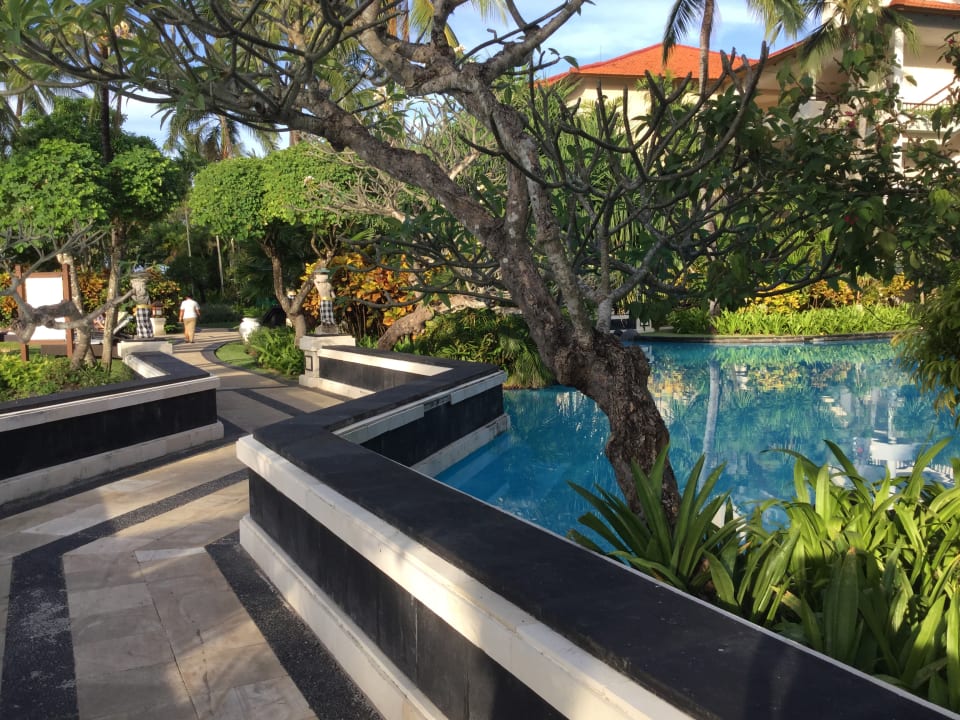 Gartenanlage The Laguna A Luxury Collection Resort & Spa