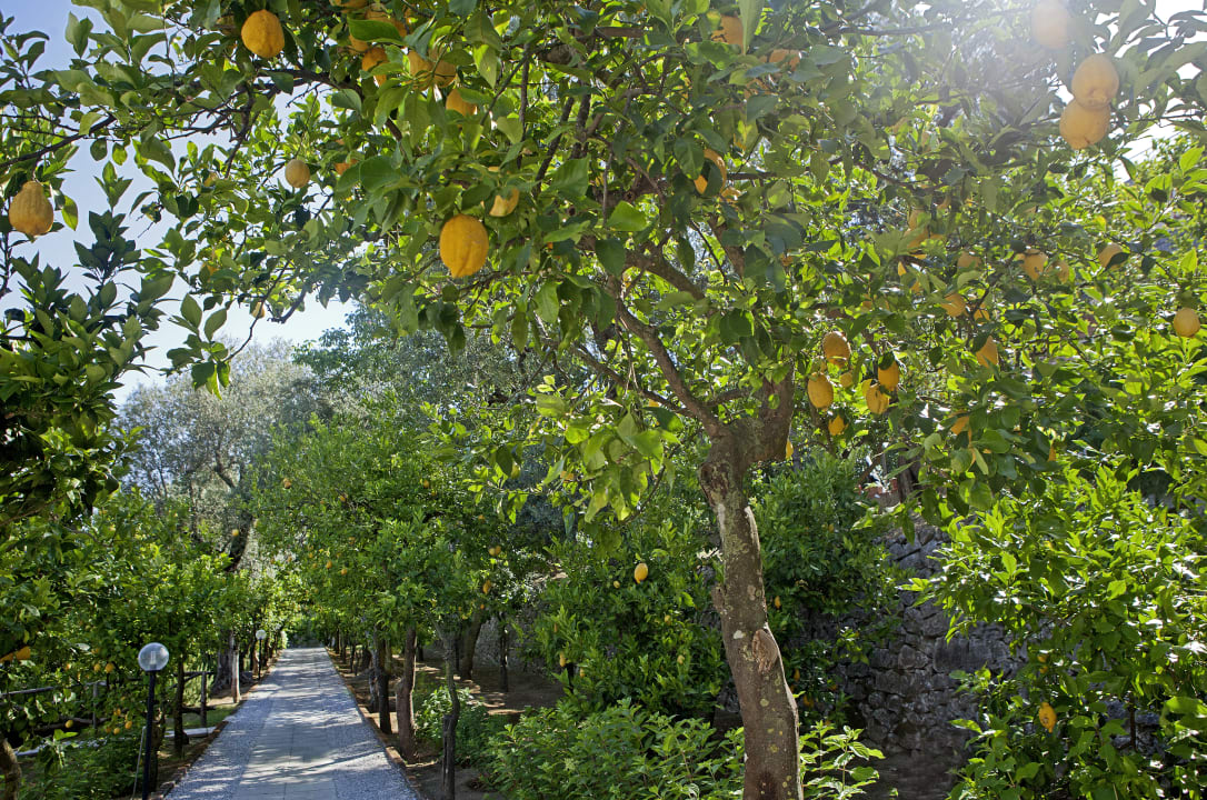 Gartenanlage Villa Oriana Relais