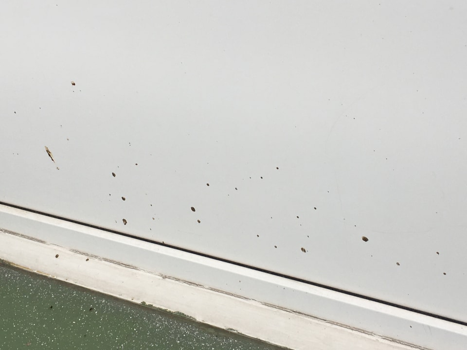 Zimmer Ferienwohnungen Ferienpark Weissenhäuser Strand