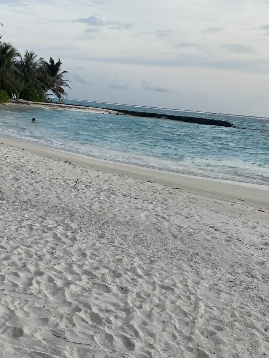 Strand Summer Island Maldives