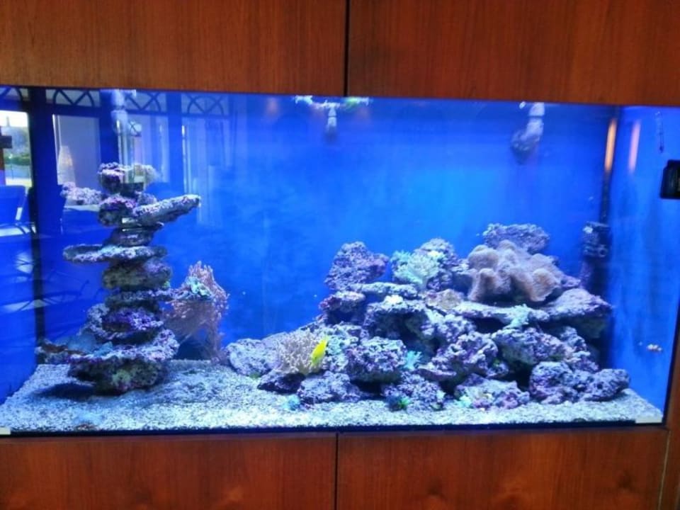 Wellnessbereich (ca. 2.000 m²) Der Birkenhof - Spa & Genuss Resort