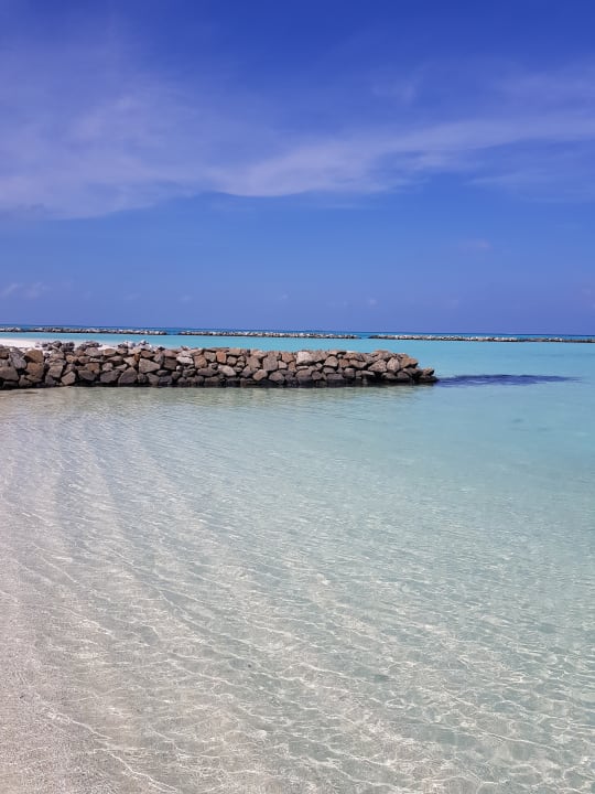 Strand Summer Island Maldives