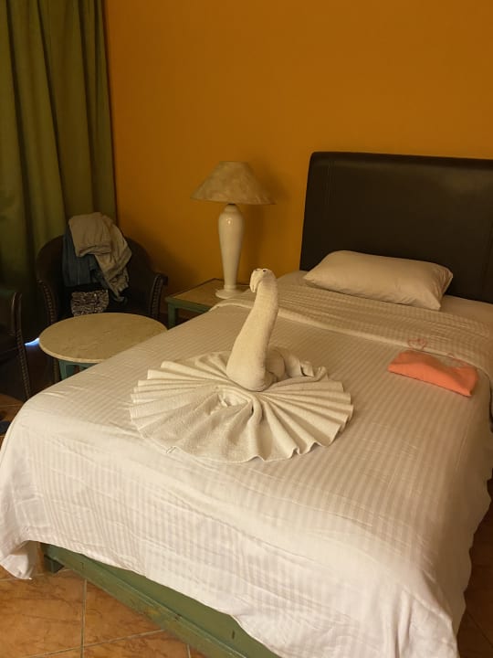 Zimmer Arabia Azur Resort