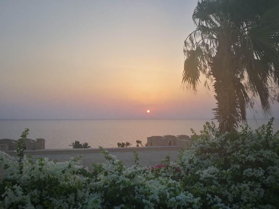 Ausblick Pickalbatros Citadel Resort