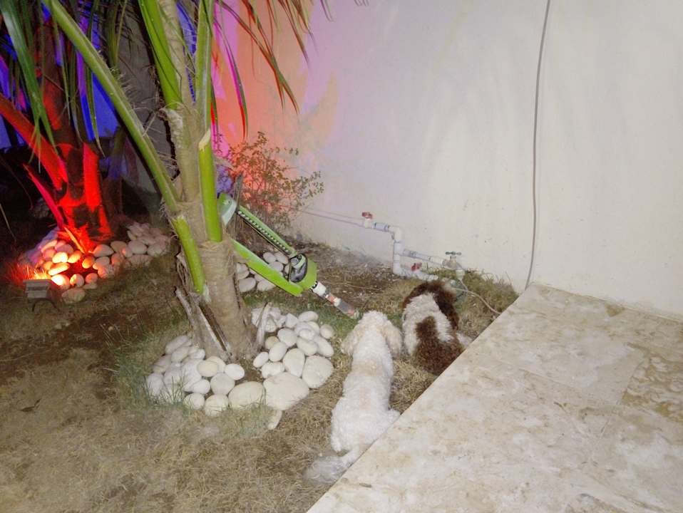 Gartenanlage Villa Diane