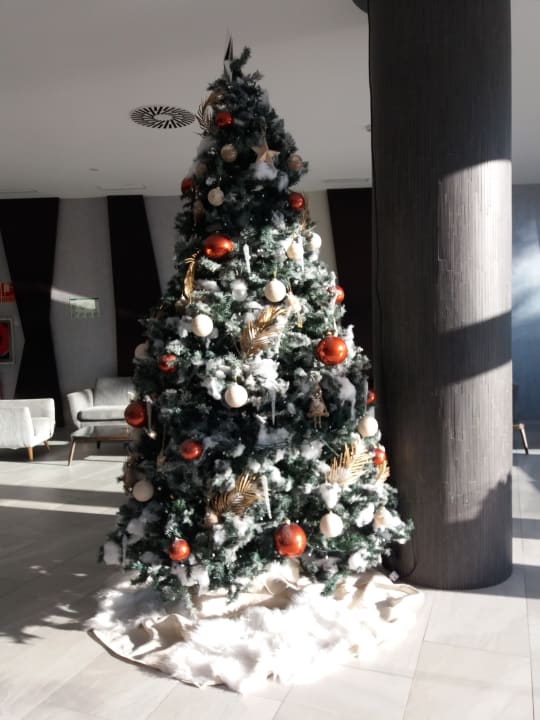 Lobby Hotel Riu Arecas - Adults only