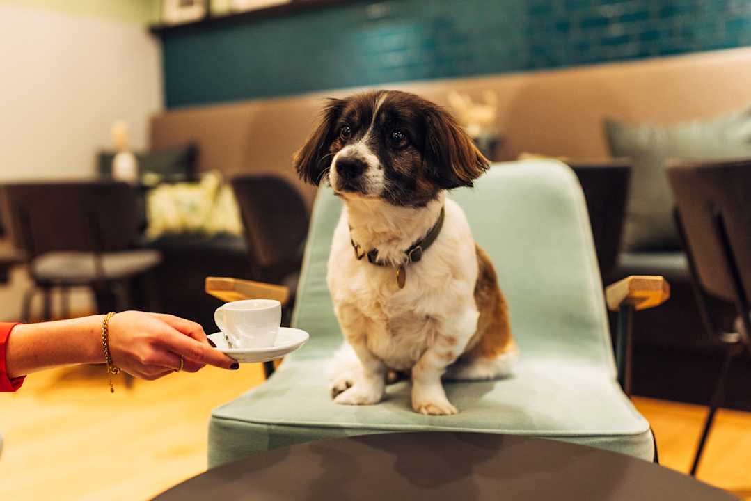 Sonstiges harry's home Graz-Smart City