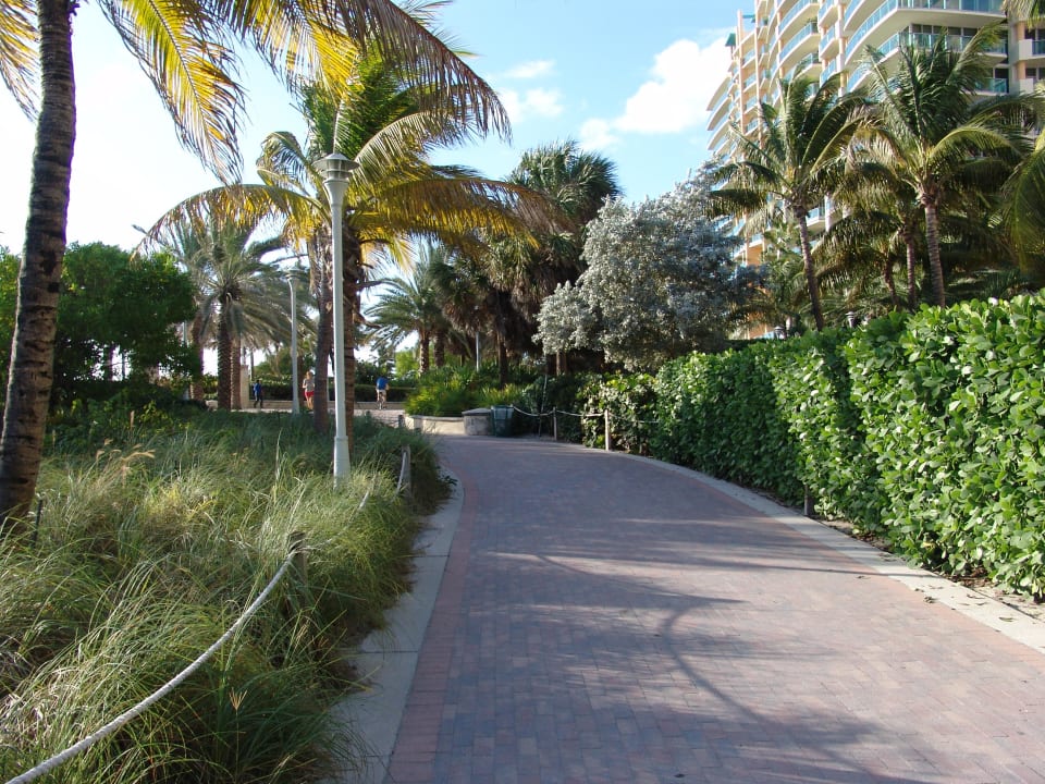 Beachwalk vor dem Hotel Royal Palm South Beach Miami, a Tribute Portfolio Resort