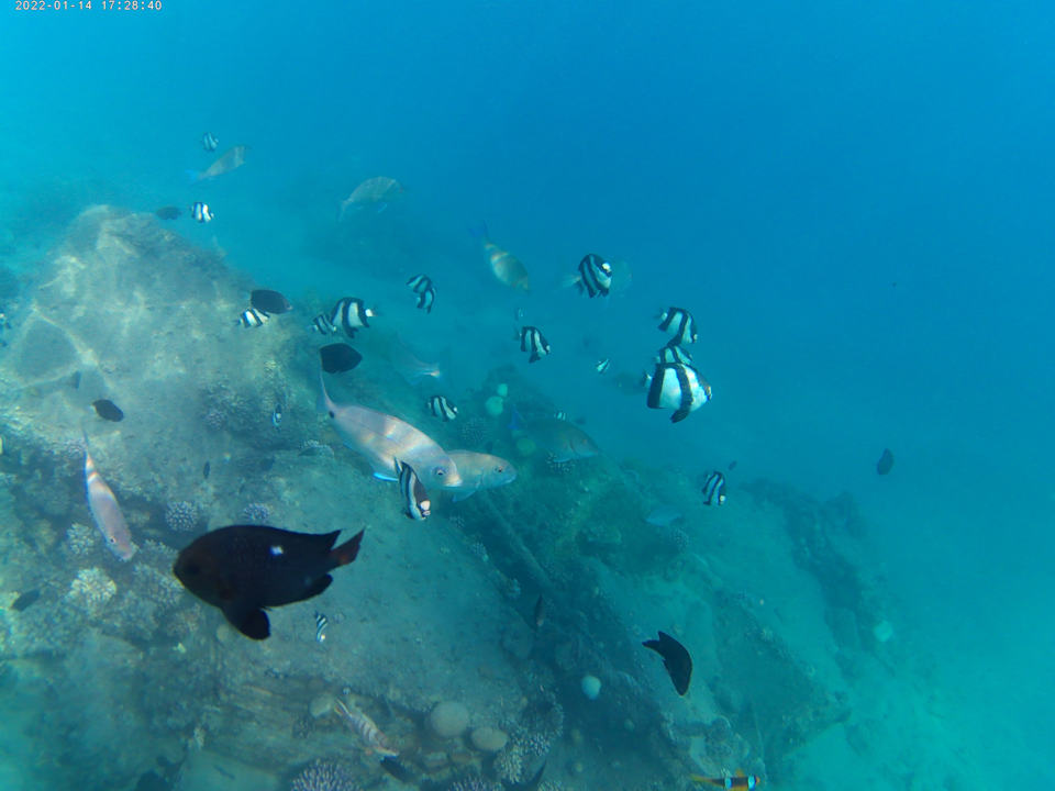 Sport & Freizeit Amarina Abu Soma Resort & Aquapark