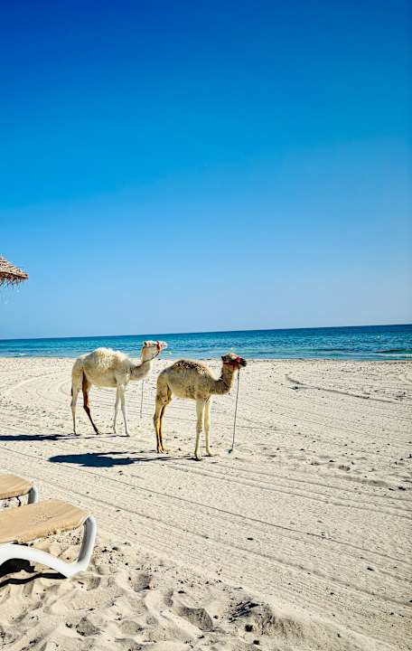Strand Djerba Aqua Resort