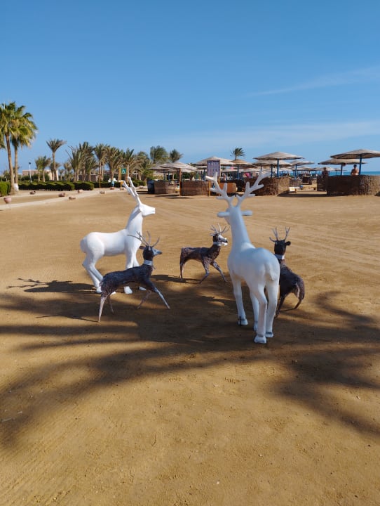 Strand Club Paradisio El Gouna, Red Sea