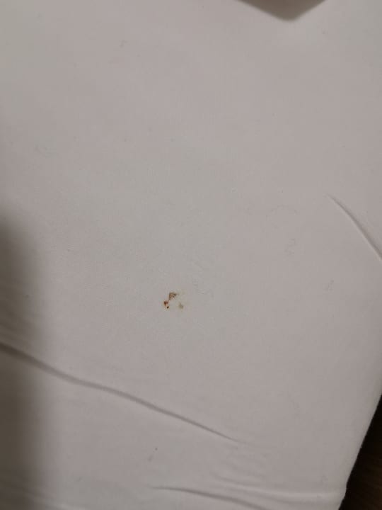 Zimmer Lopesan Costa Bávaro Resort, Spa & Casino