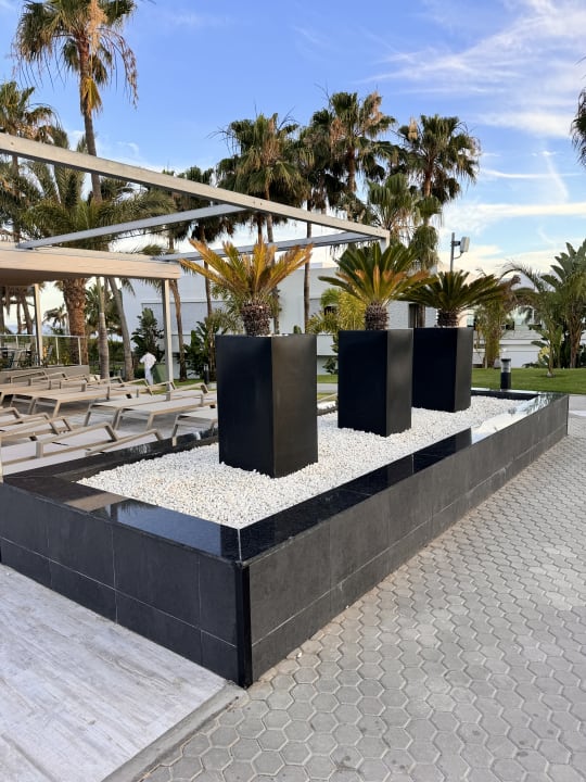 Gartenanlage Hotel Riu Gran Canaria
