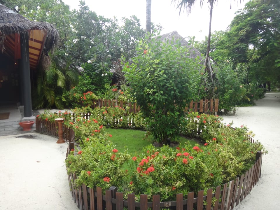 Schönste Gartenanlage Adaaran Select Hudhuran Fushi - Premium All Inclusive