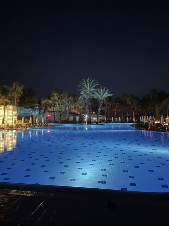 Pool Monachus Family Resort Sorgun