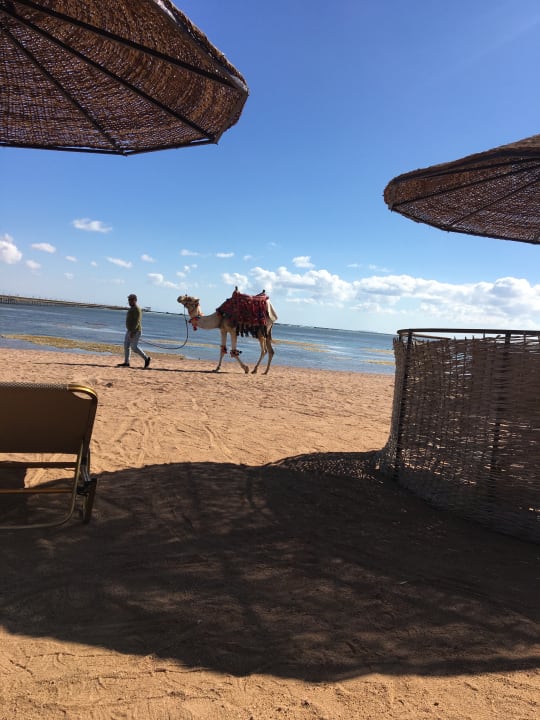 Strand JAZ Mirabel Beach