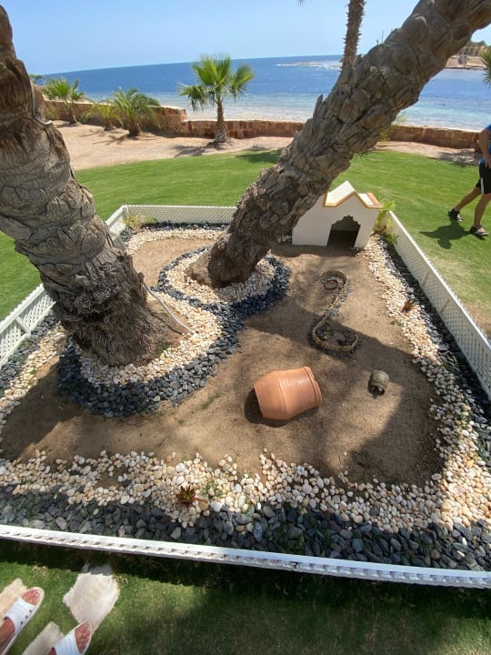 Sonstiges Steigenberger Coraya Beach - Adults only