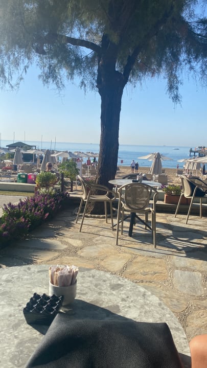 Gastro Arum Barut Collection