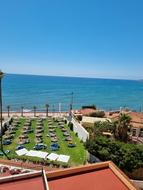 Ausblick Globales Gardenia