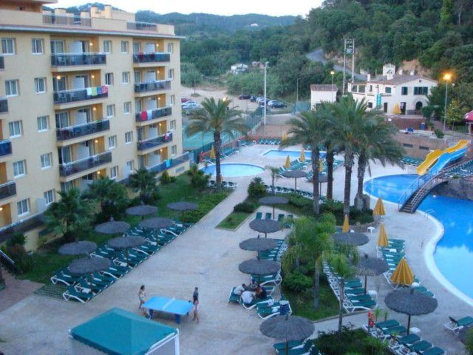 Вид из номера Hotel Rosamar Garden Resort