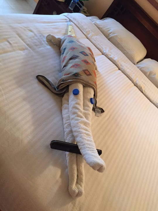 See ya later aligator SUNRISE Holidays Resort (Adults Only)