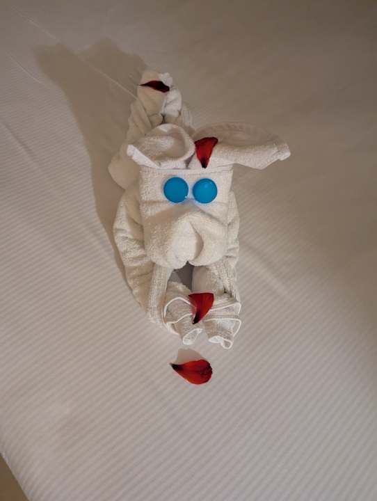 Zimmer Pickalbatros Sands Hotel - Port Ghalib