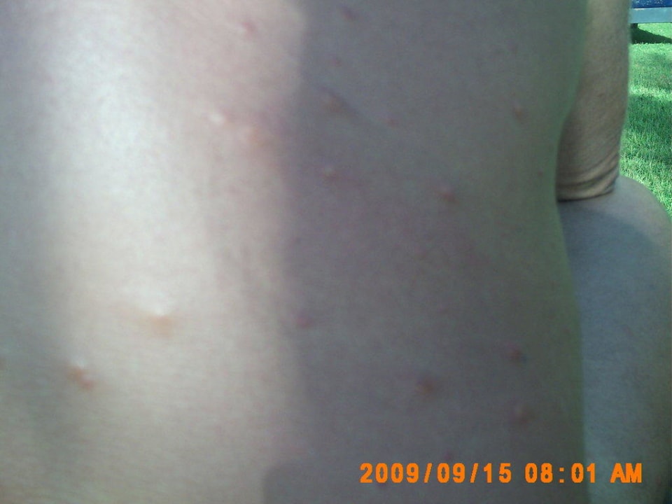 Zimmer 245 mit Haustieranschluss EKHO Surf