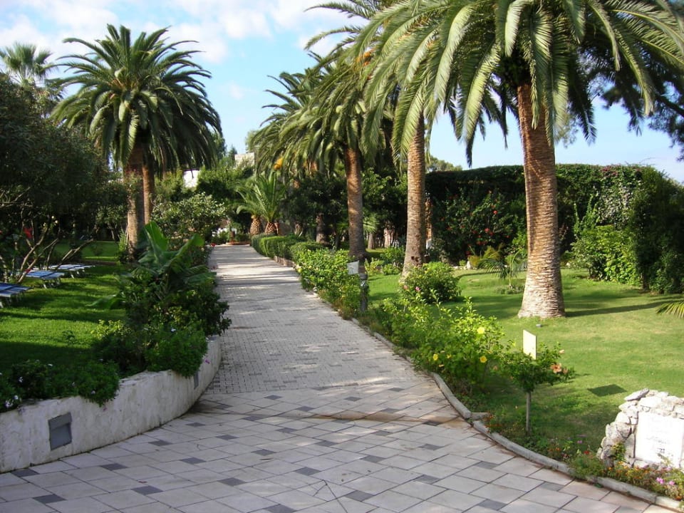 Weg zum Komplex Diana Aldiana Club Rocca Nettuno Calabria