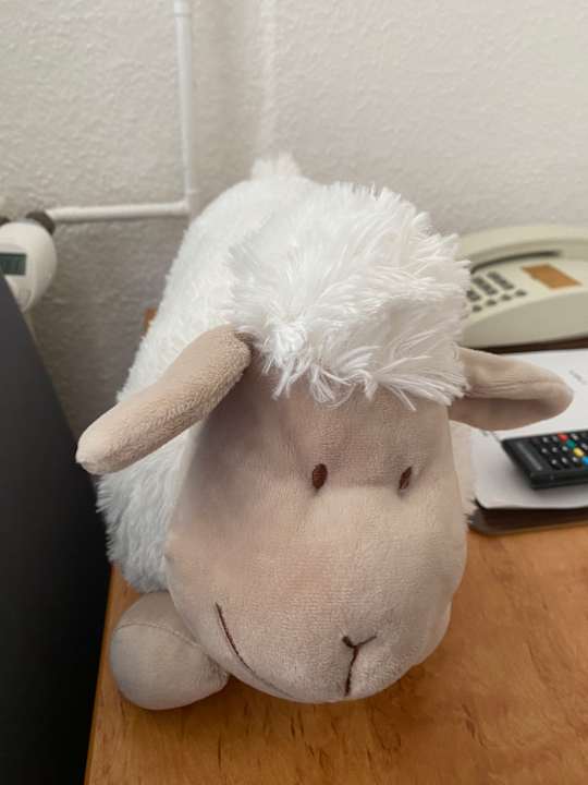 Zimmer Hotel Goldenes Lamm