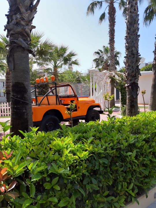 Gartenanlage Hane Family Resort