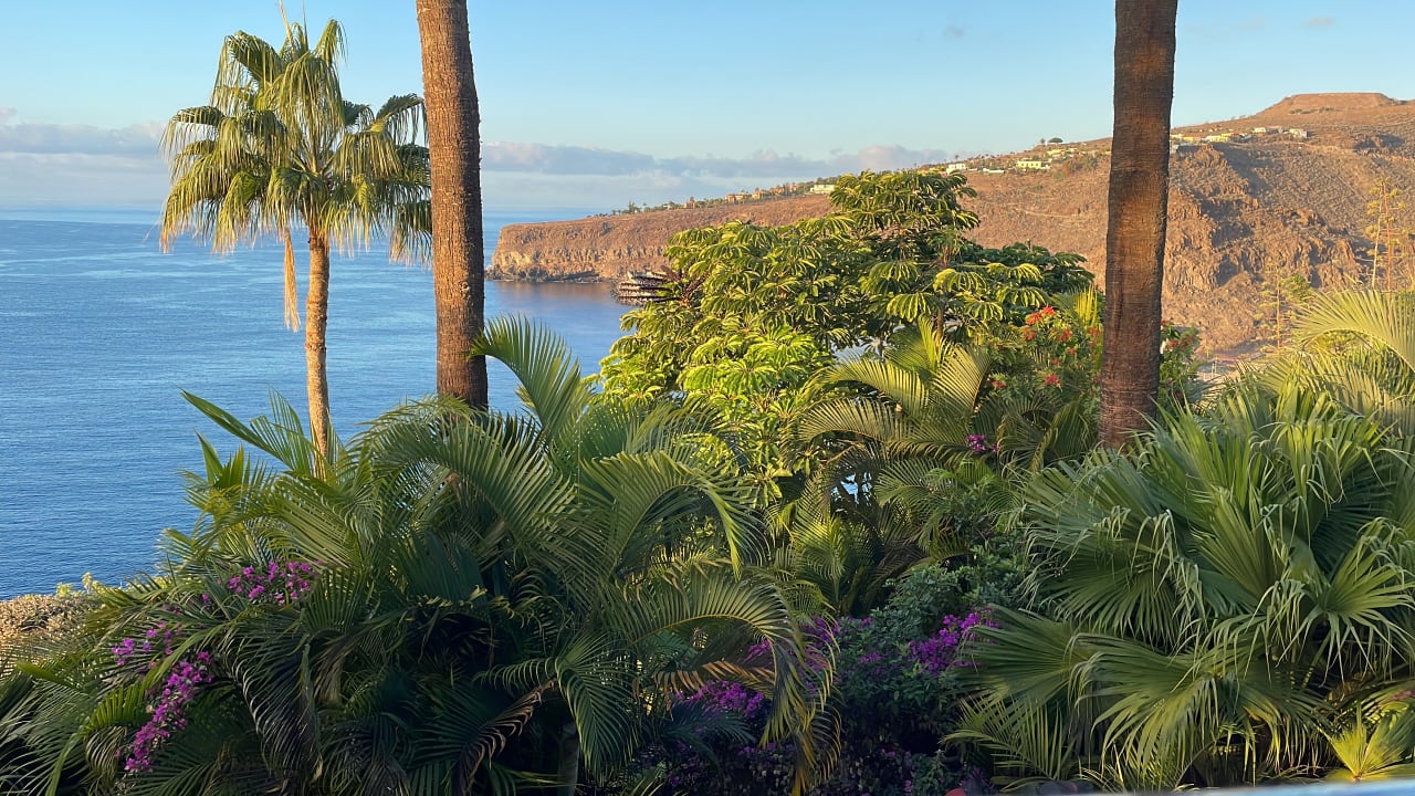 Ausblick Hotel Jardin Tecina
