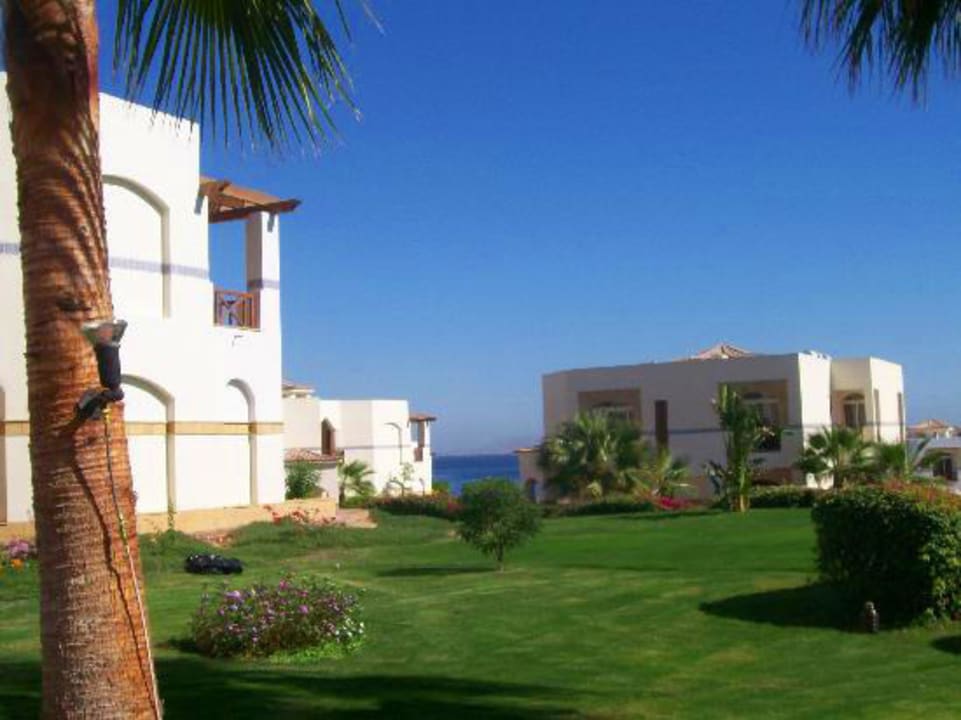 Landscaping Amphoras Blu