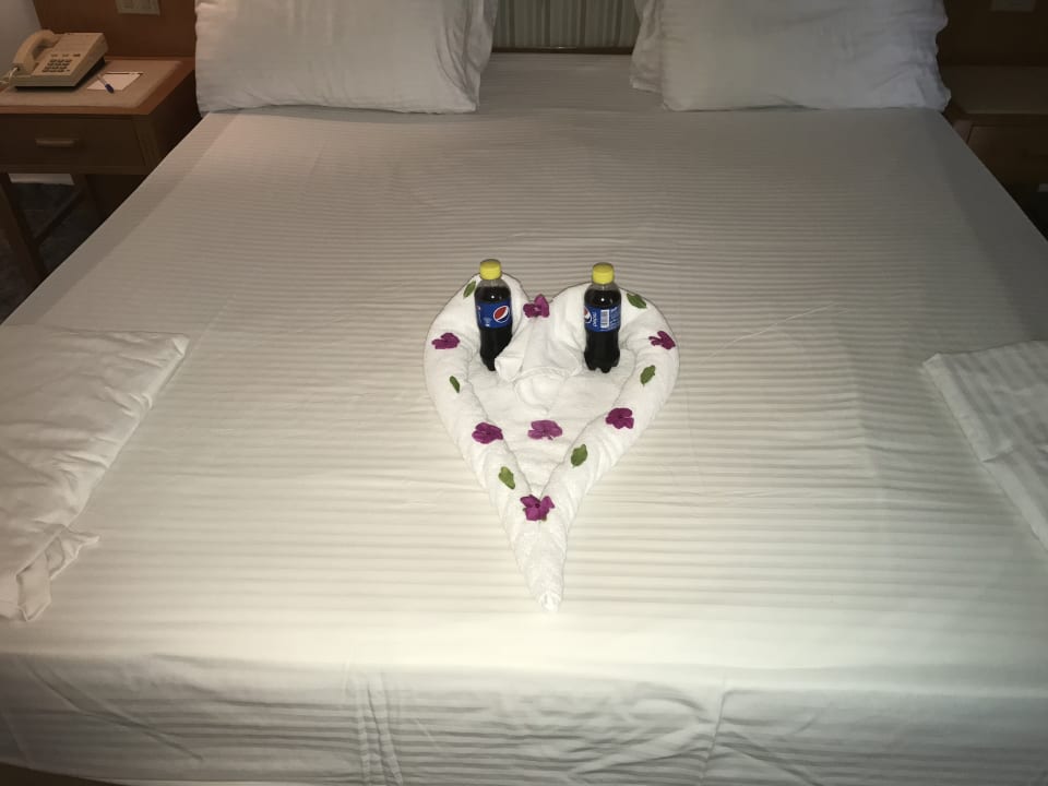 Zimmer Pharaoh Azur Resort