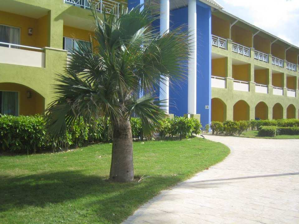 Bild Royalton Splash Punta Cana