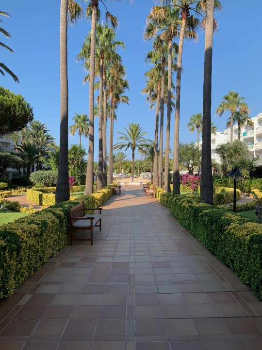 Gartenanlage Iberostar Selection Albufera Park